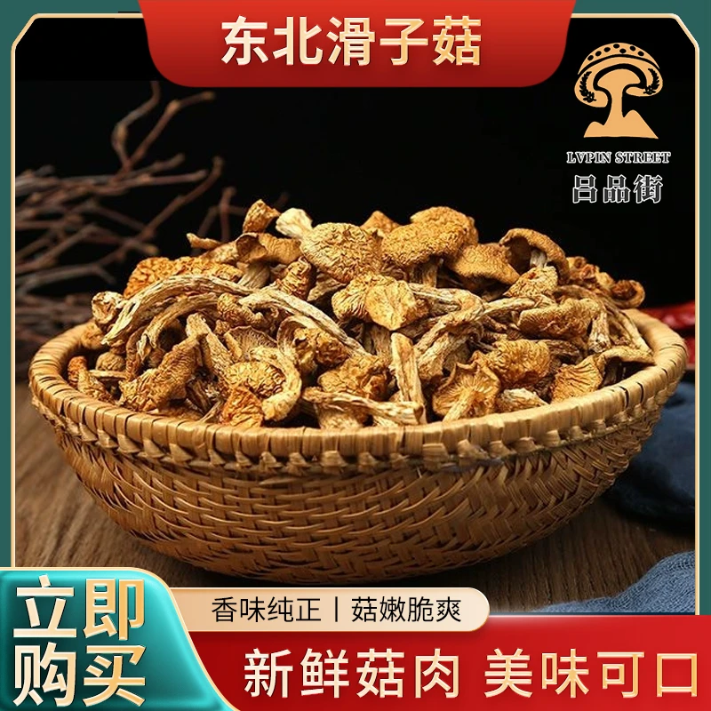 特产滑子菇东北长白山产浓郁肥厚特产小鸡炖蘑菇鲜美生长美味烹饪