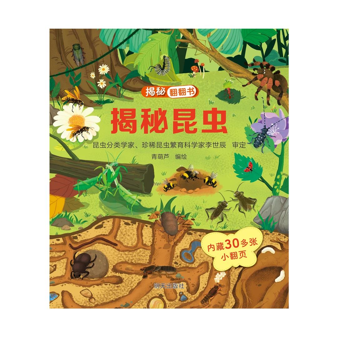 【新华书店正版】揭秘昆虫(精)/揭秘翻翻书