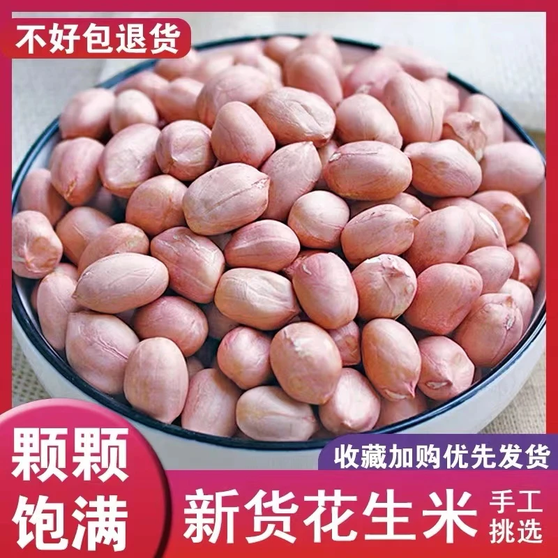 新鲜上市花生米东北大白沙新鲜花生三斤五斤装食用农产品生花生米
