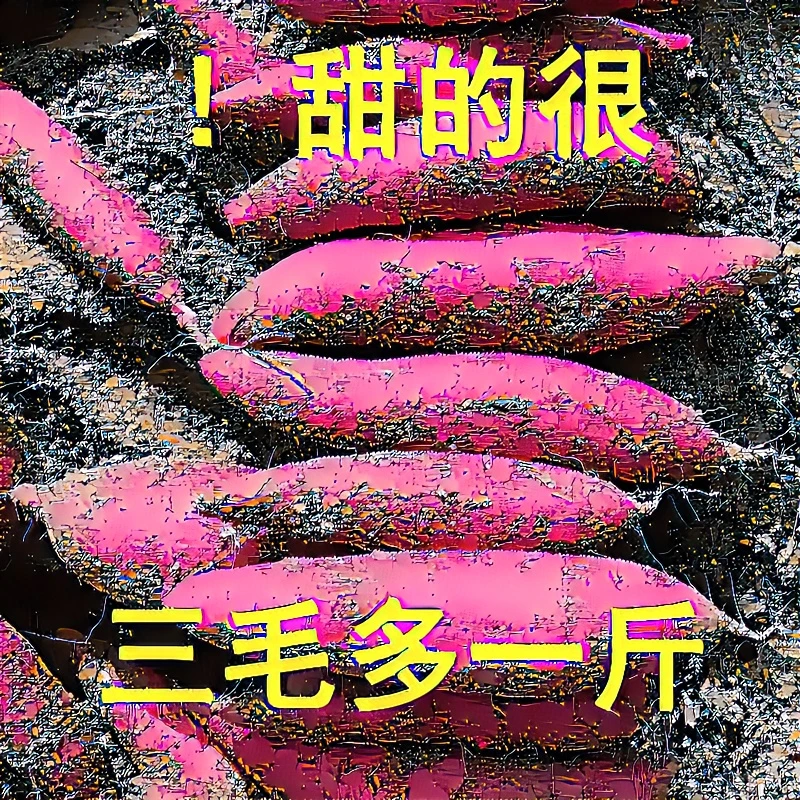 【抢购中】超甜沙地自种1/10斤新鲜自种红薯烟薯板栗薯地瓜番薯蔬菜