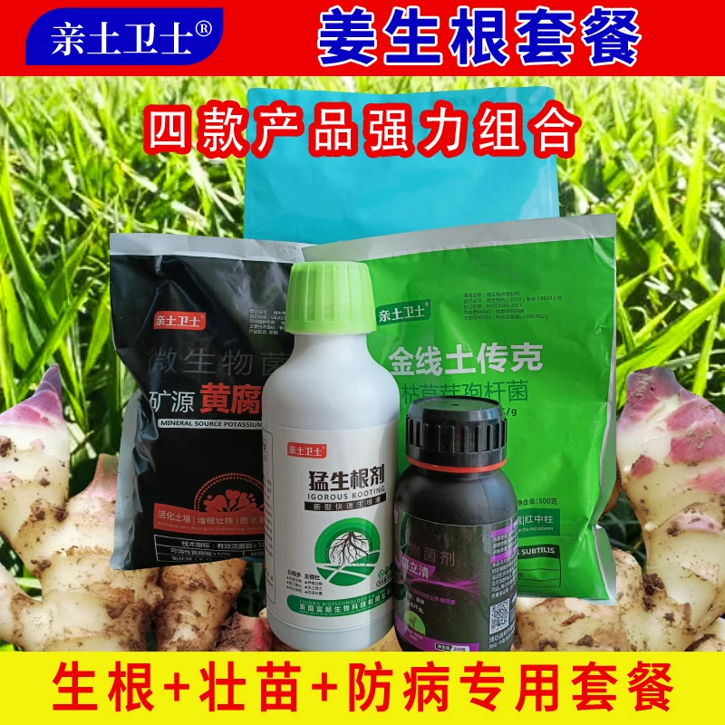 姜生根专用套餐打破休眠爆发生根苗齐苗壮猛分叉快速解决苗黄苗弱