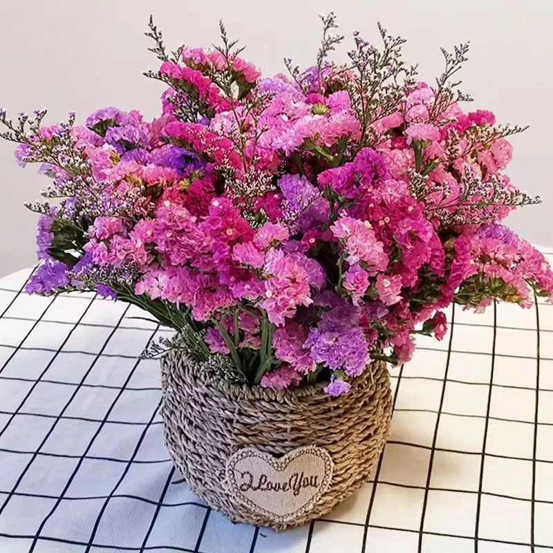 天然风勿忘我满天星干花花束装饰摆件真花家庭插花小清新客厅摆件