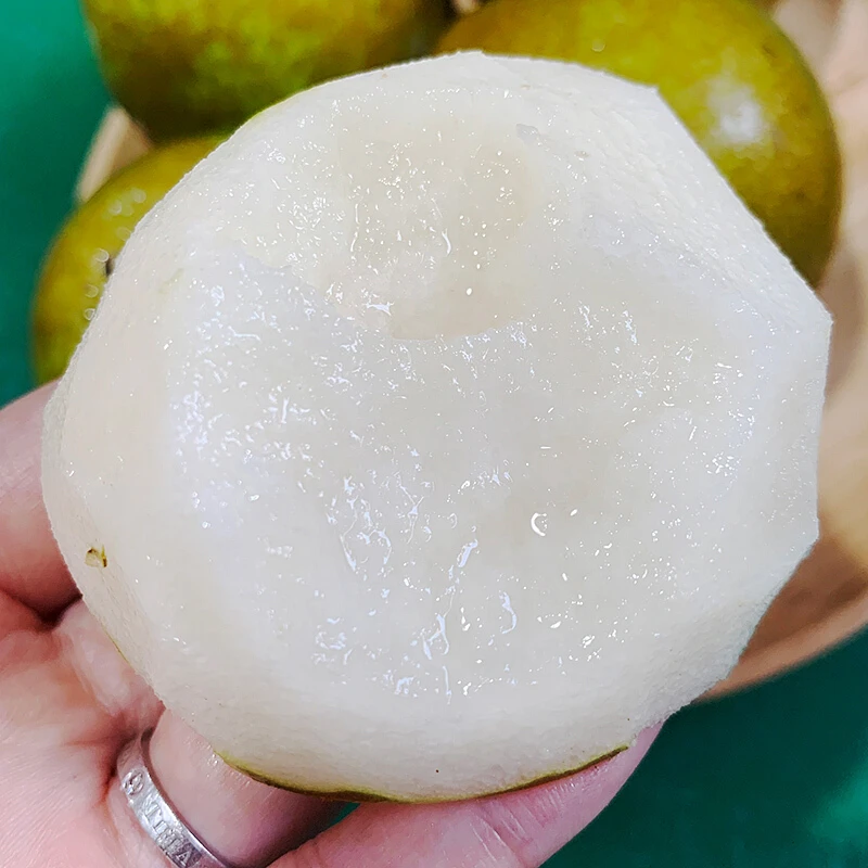 （顺丰快递）正宗上海蜜梨翠冠梨脆甜多汁当季新鲜水果净重5/9斤上海市