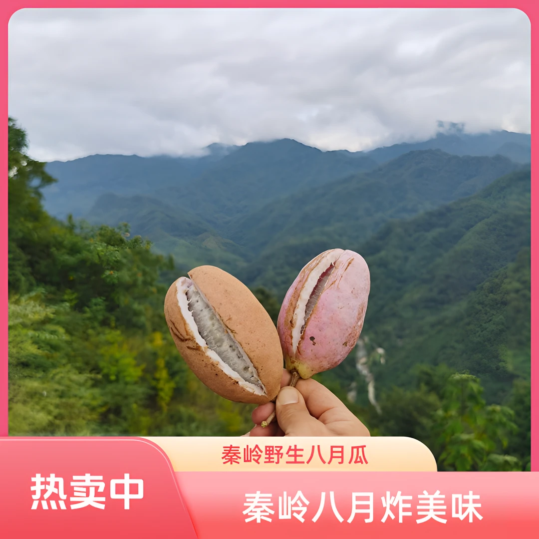 陕西秦岭野生八月炸2500g包邮木通腊瓜北方土香蕉鲜水果鲜软嫩滑