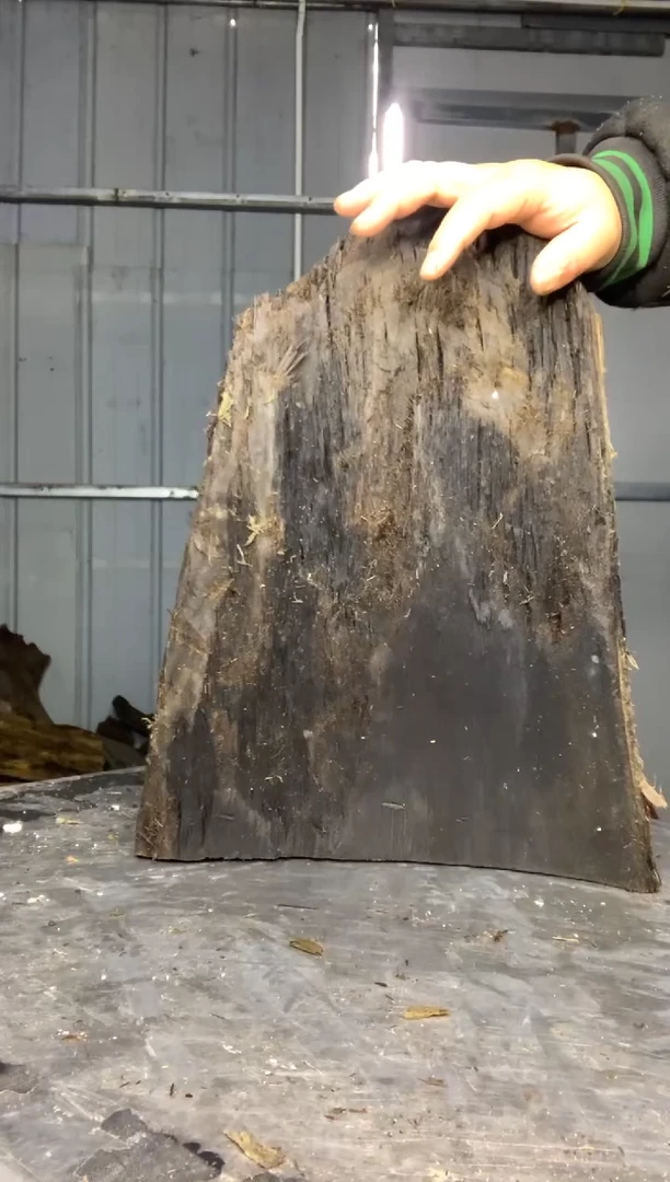 【闪购商品】阴沉金丝楠小叶桢楠