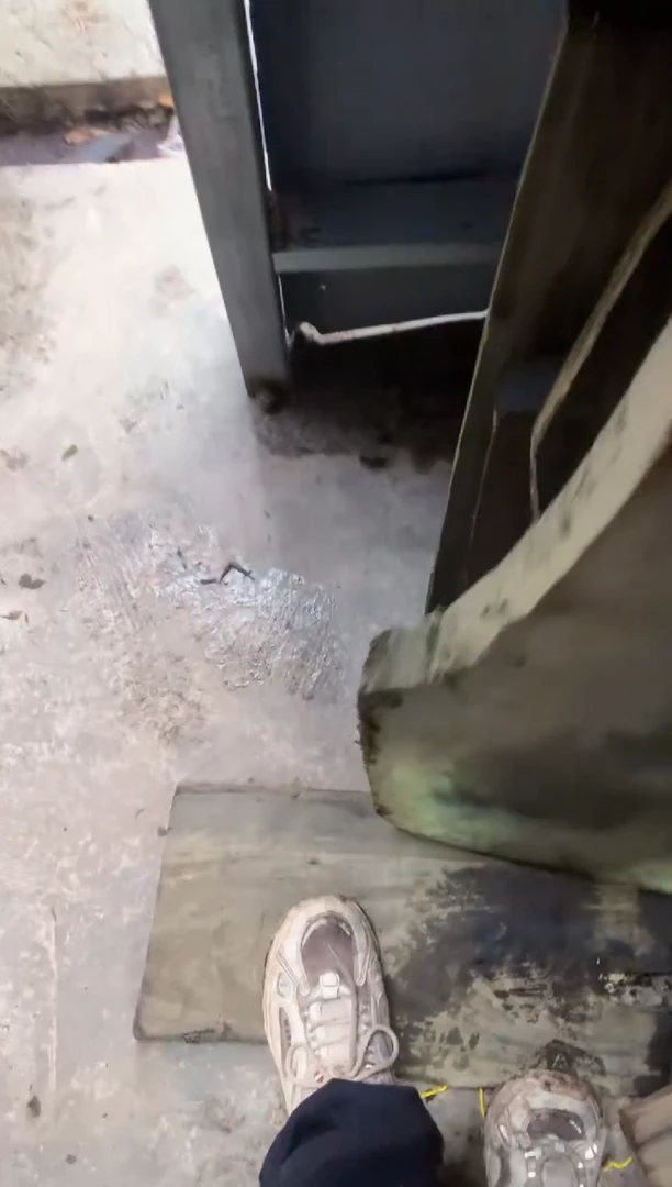 【闪购商品】阴沉金丝楠小叶贞楠