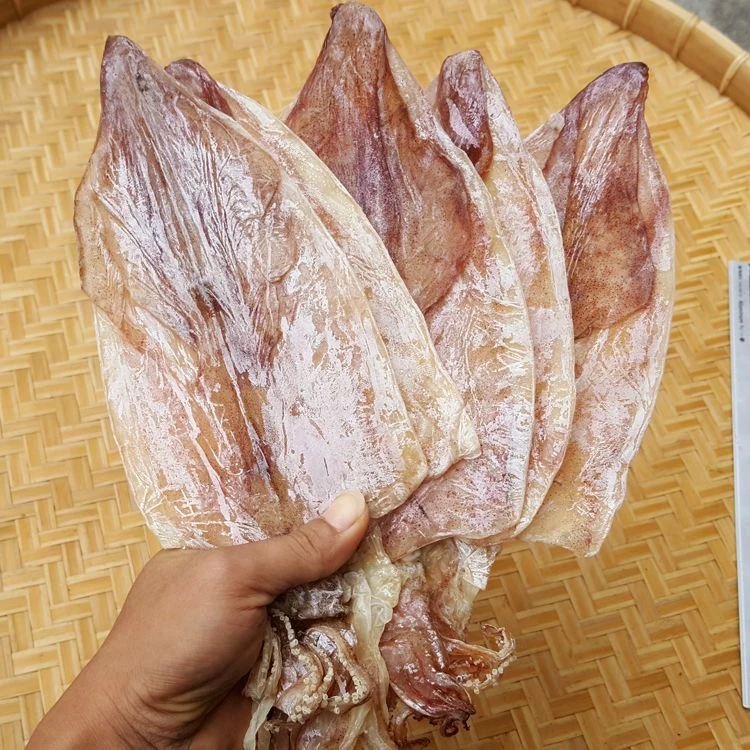 广东阳江本港新鲜大鱿鱼干 干鱿鱼 手撕鱿鱼干 烧烤鱿鱼干