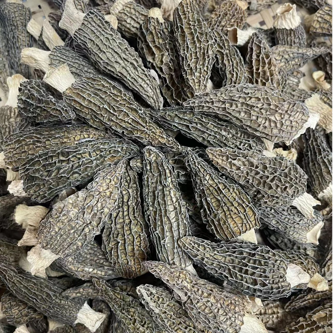 羊肚菌干货煲汤蒸蛋无熏硫