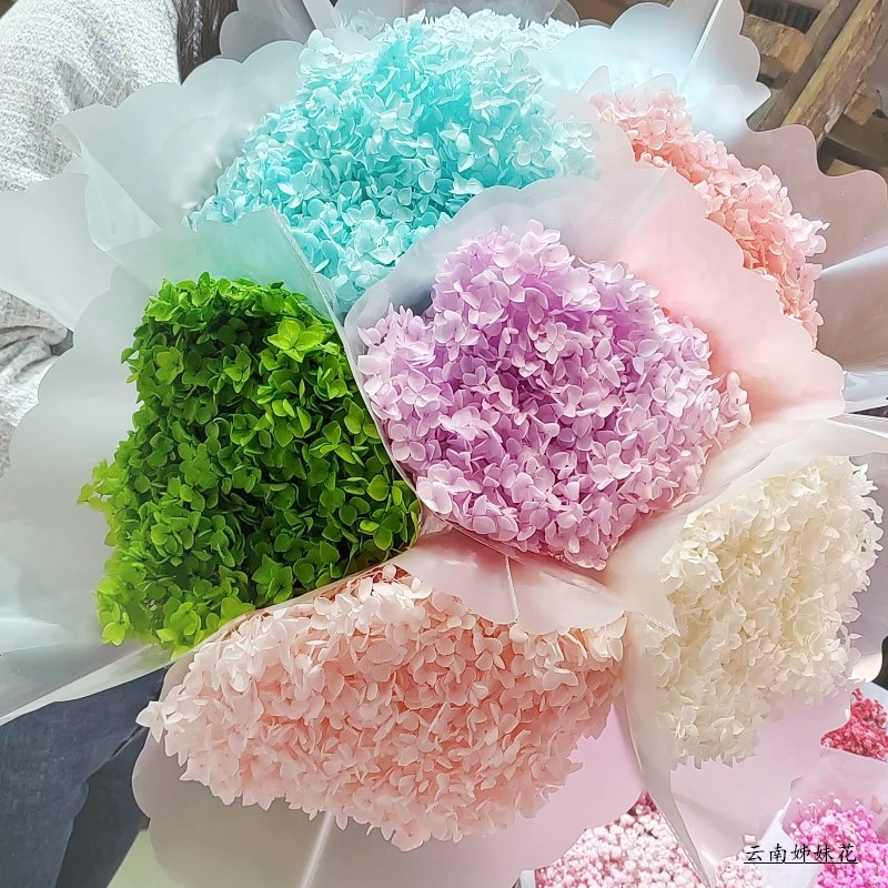 永生绣球干花花束小叶安娜绣球花单支装饰花diy材料礼盒配材批发