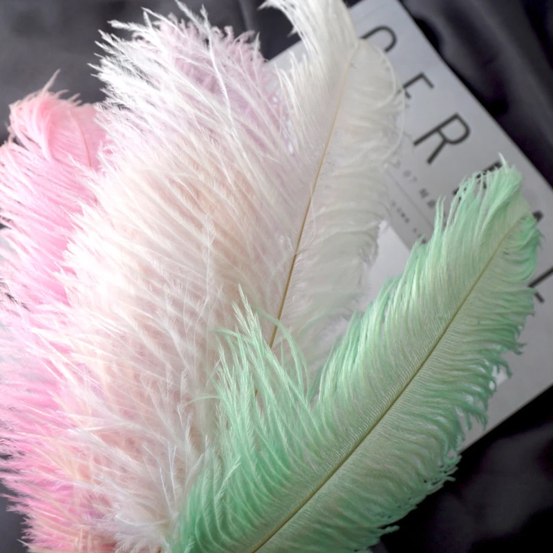 【花落谁家】22色鸵鸟大羽毛婚庆网红墙白色粉色羽毛插花 20-25cm