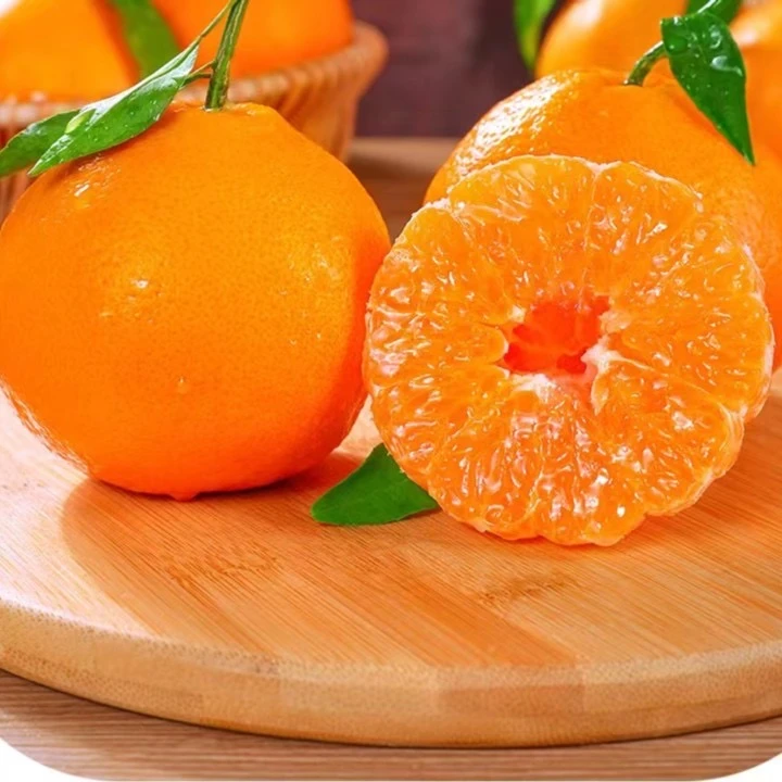 四川春见粑粑柑现摘现发口口爆汁4.5-5斤装包邮坏包赔Z