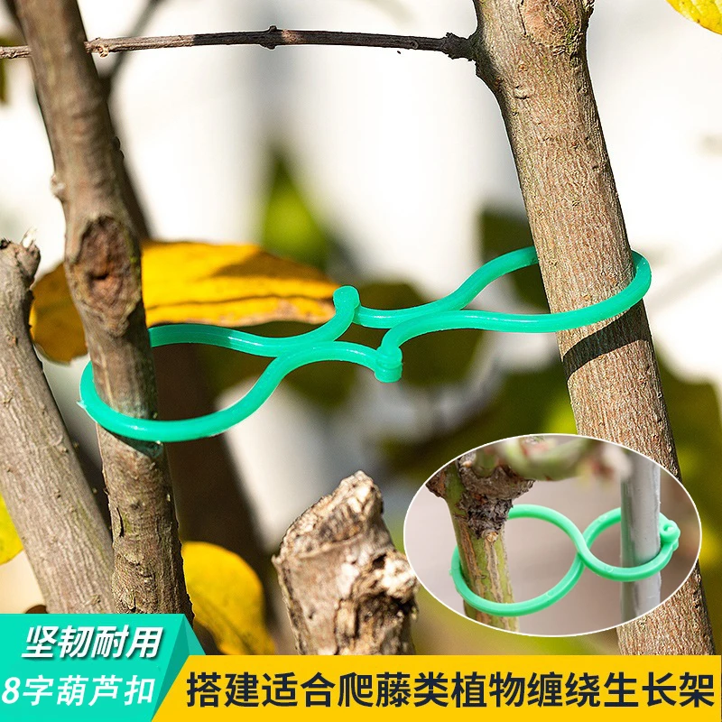 多功能园艺八字扣种植藤蔓固定夹爬藤植物茎秆支撑器