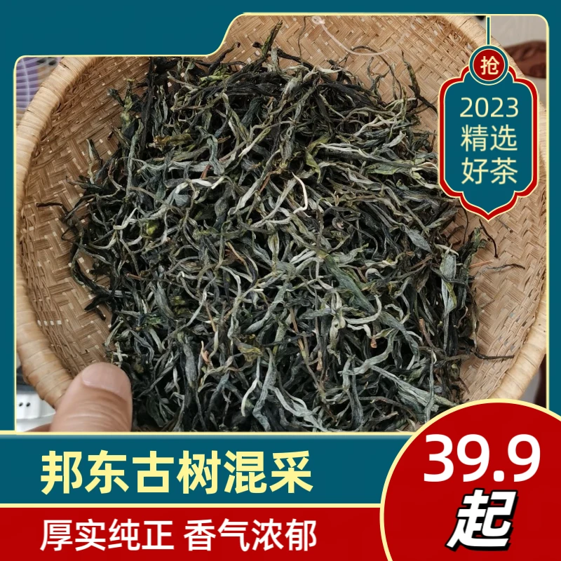 2023年 邦东古树 【大青树】古树混采