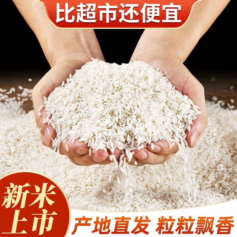 【2023年新米】20斤虾稻米长粒香大米真空包装5kg10斤