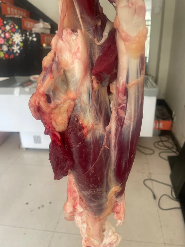 本地散养黄牛肉 牛腱子肉 五斤起拍 坏单包赔
