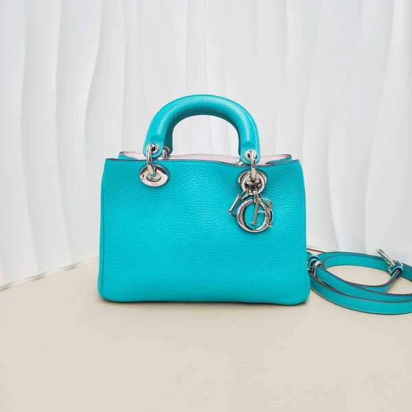 95新/SK精选/迪奥/箱包/240130SK0027