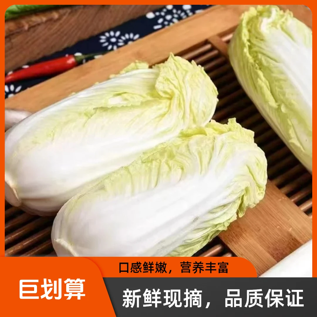 【娃娃菜】顺丰包邮农家露天种植娃娃菜鲜嫩现摘现发白菜