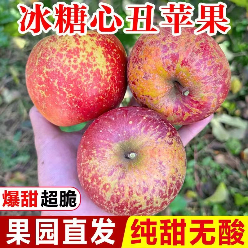 当季云南昭通冰糖心红富士丑苹果脆甜新鲜水果整箱批发