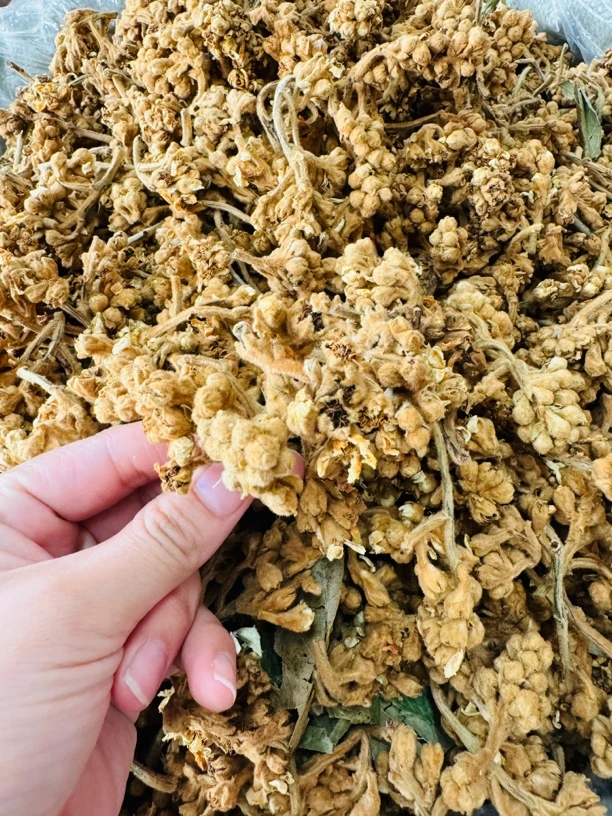 农家晒干枇杷花冲水煮水1斤包邮