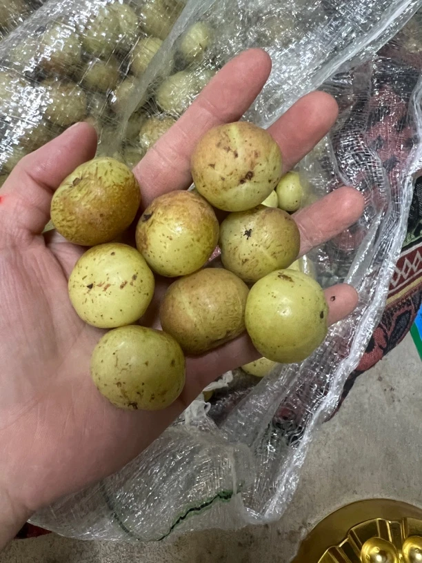 本地油柑2斤包邮