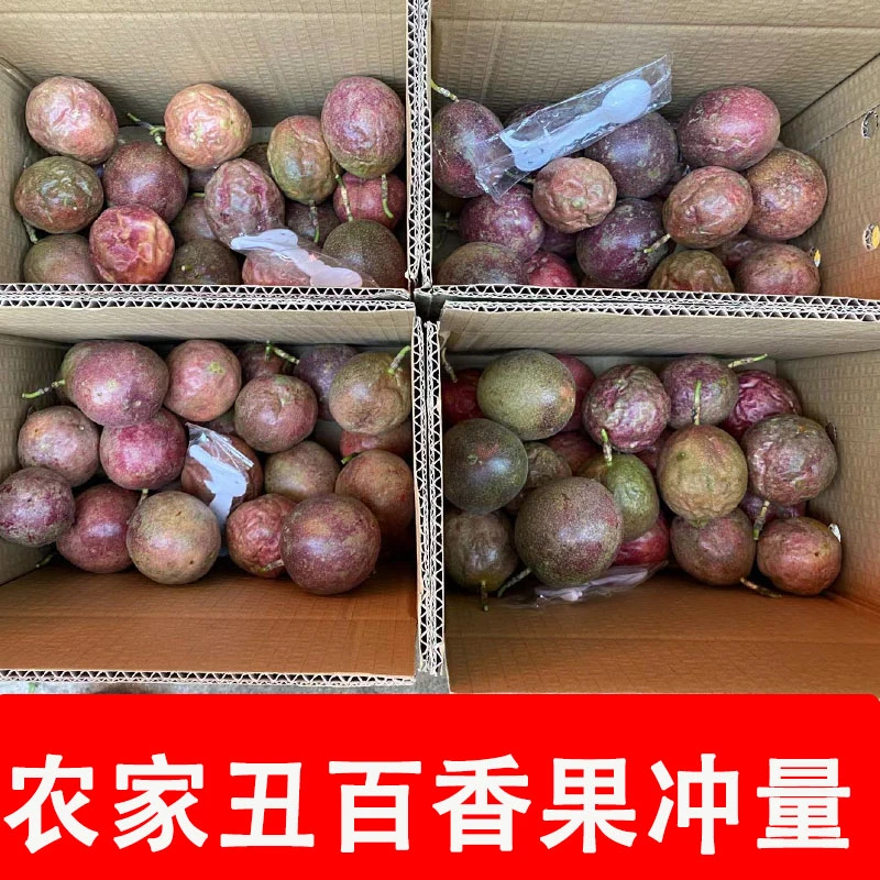 广西百香果新鲜花皮丑果皱皮果次果随机大中小果奶茶专用挖果酱汁