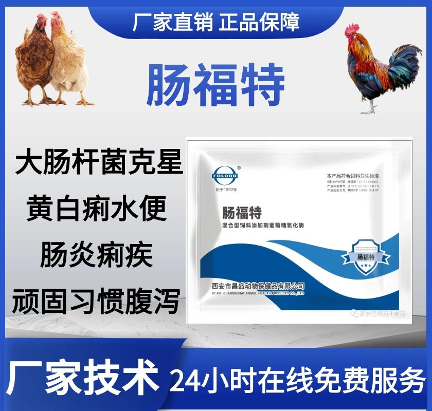 禽用肠福特拉稀止痢饲料便肠炎痢疾顽固性腹泻肠毒综合症肠道修复