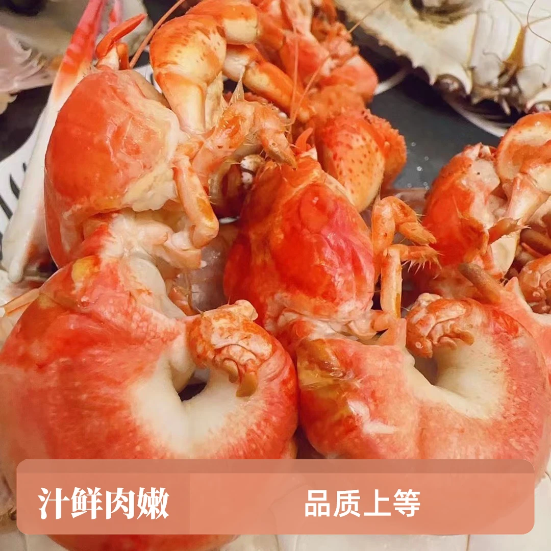大连海捕虾怪 3斤装【中小号】带壳发货【保鲜不保活】原产地直发