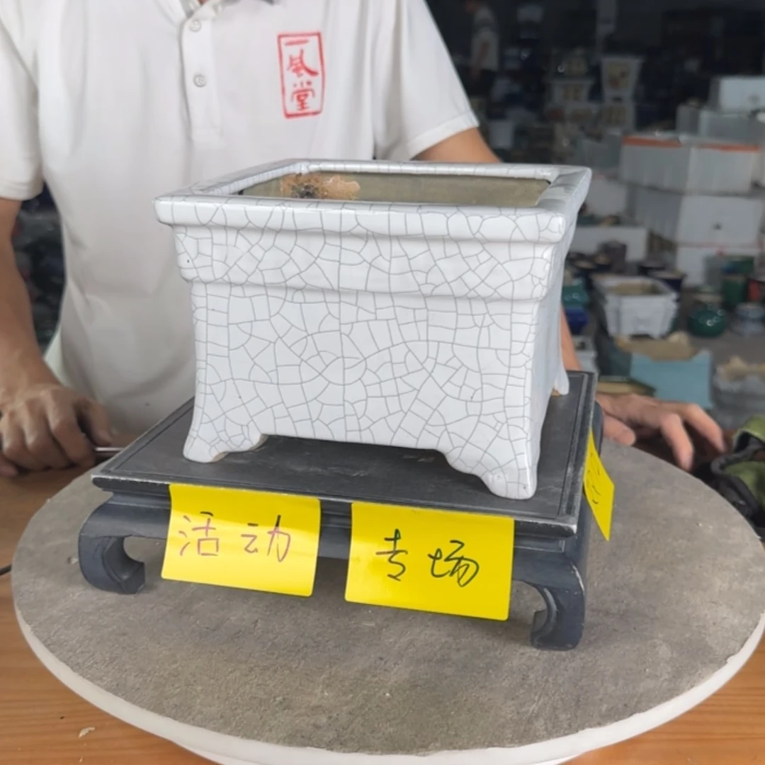 【闪购商品】陶瓷石湾盆