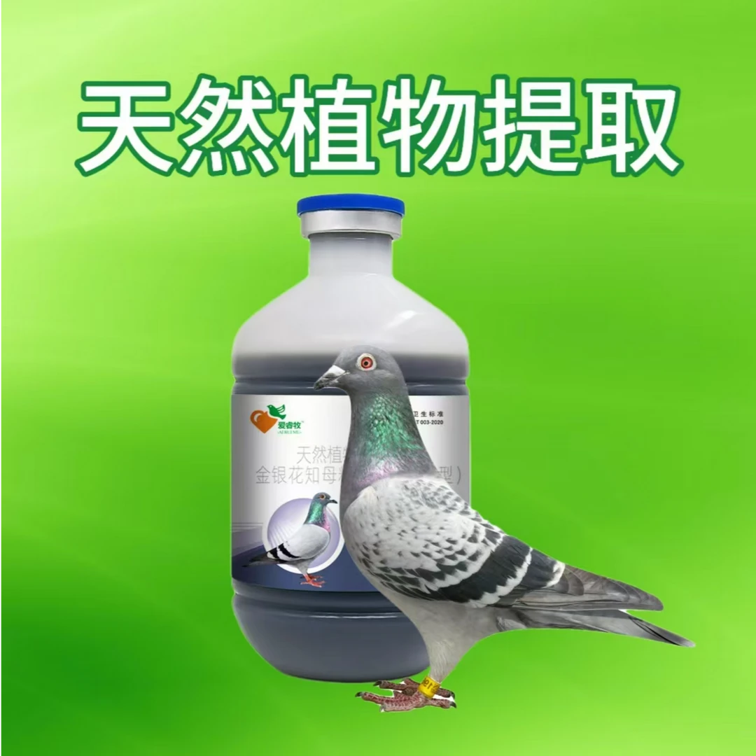 爱睿牧赛鸽鸟用 现宜康 天然植物