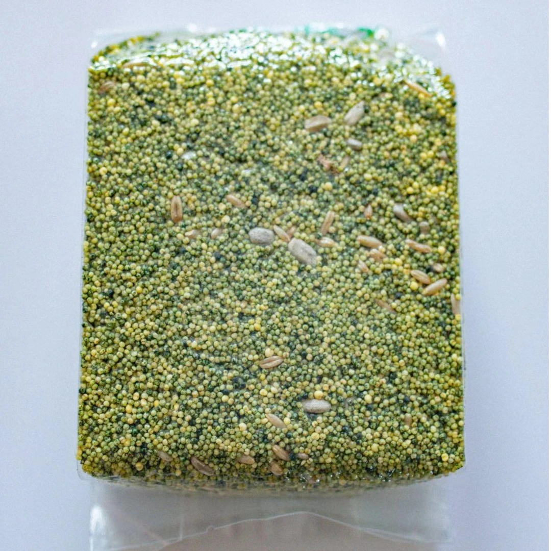 鹦鹉螺旋藻小米,添加Quiko的鹦鹉专用螺旋藻粉食粮日常