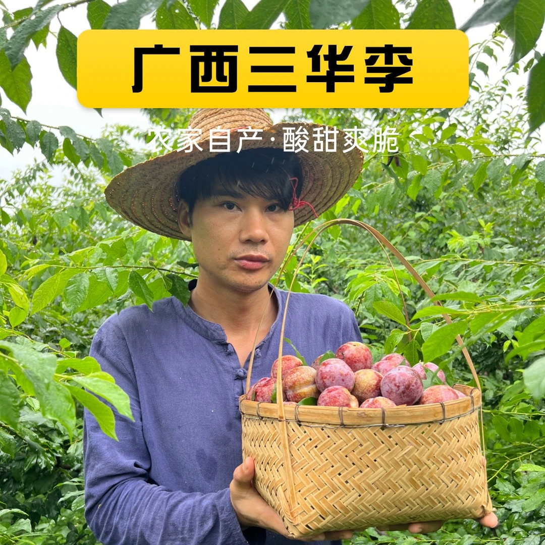 广西三华李红心李酸甜爽口当季新鲜水果