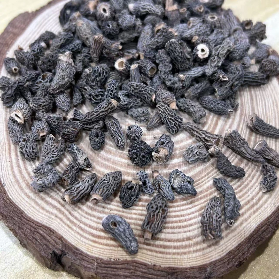 【飞飞精选】自然成长 迷你羊肚菌  香味十足