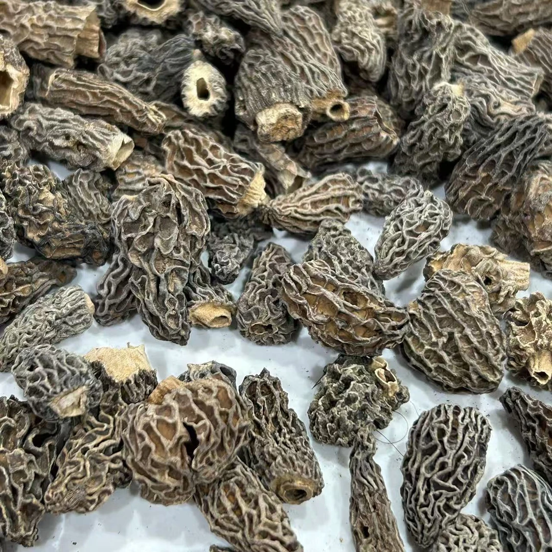 【飞飞精选】自然生长羊肚菌 香味浓郁