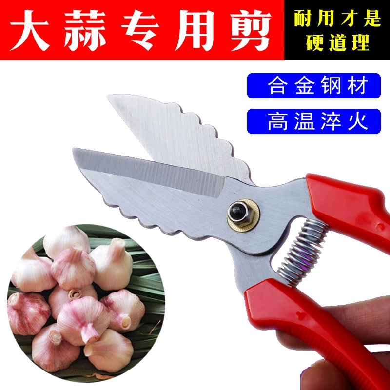 大蒜剪刀弹簧蒜剪专用剪子剪蒜头神器专门剪大蒜的新款农用工具