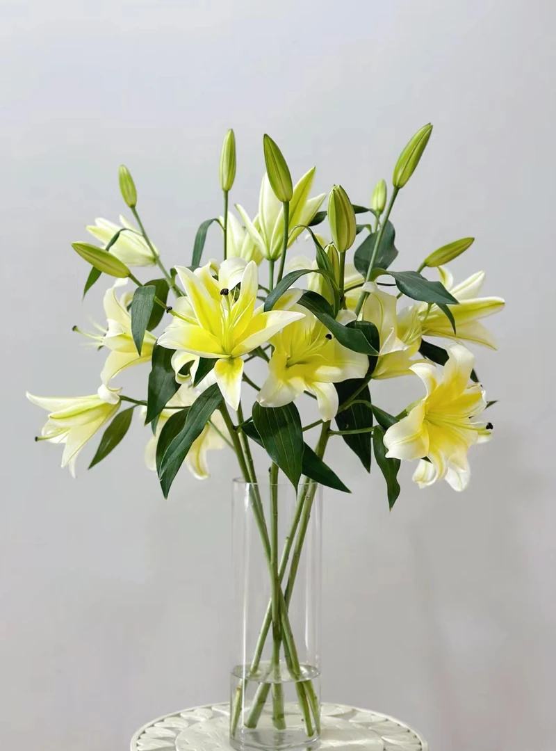 AA黄天霸百合花云南直发【任意两单同地址顺丰冷链】
