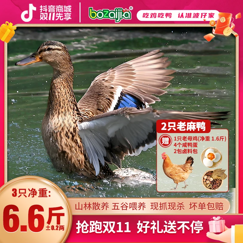 bozaijia波仔家【荆江老麻鸭】散养老鸭新鲜农家土鸭现杀真空保鲜