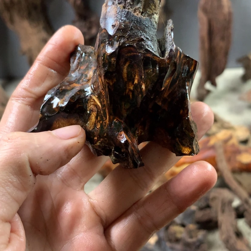 【闪购商品】香枝木根雕