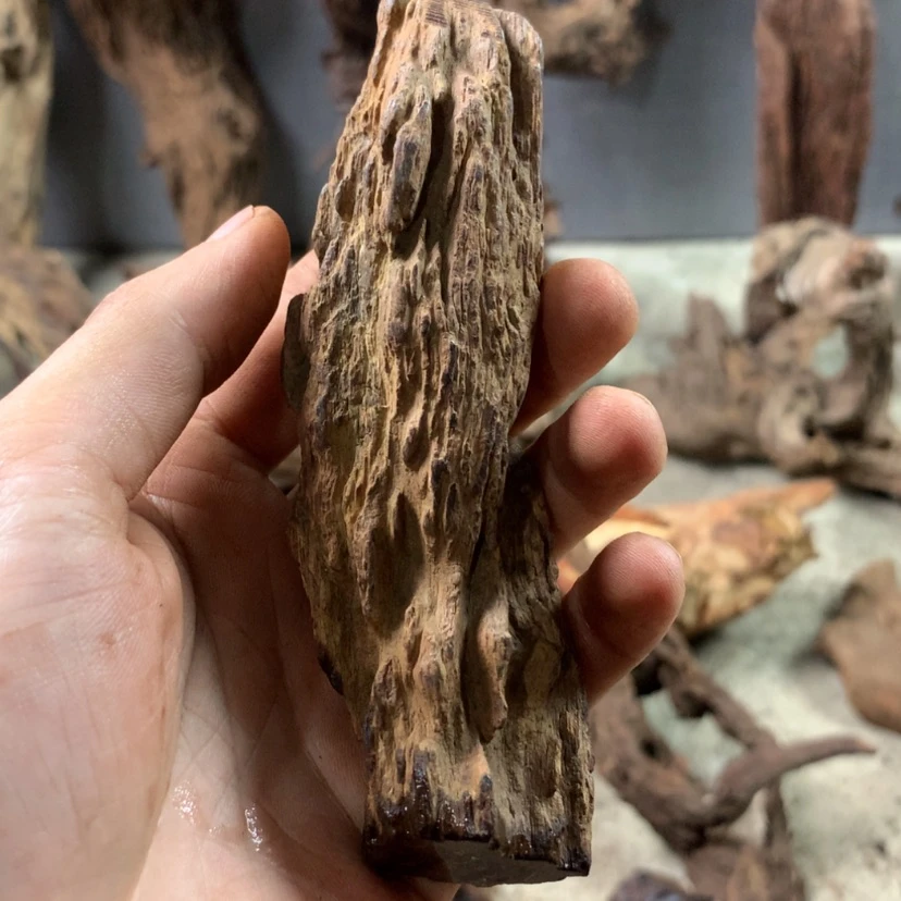 【闪购商品】香枝木根雕斌*