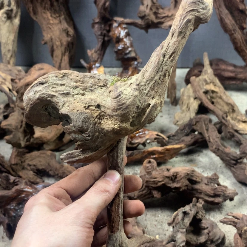 【闪购商品】香枝木根雕金**提