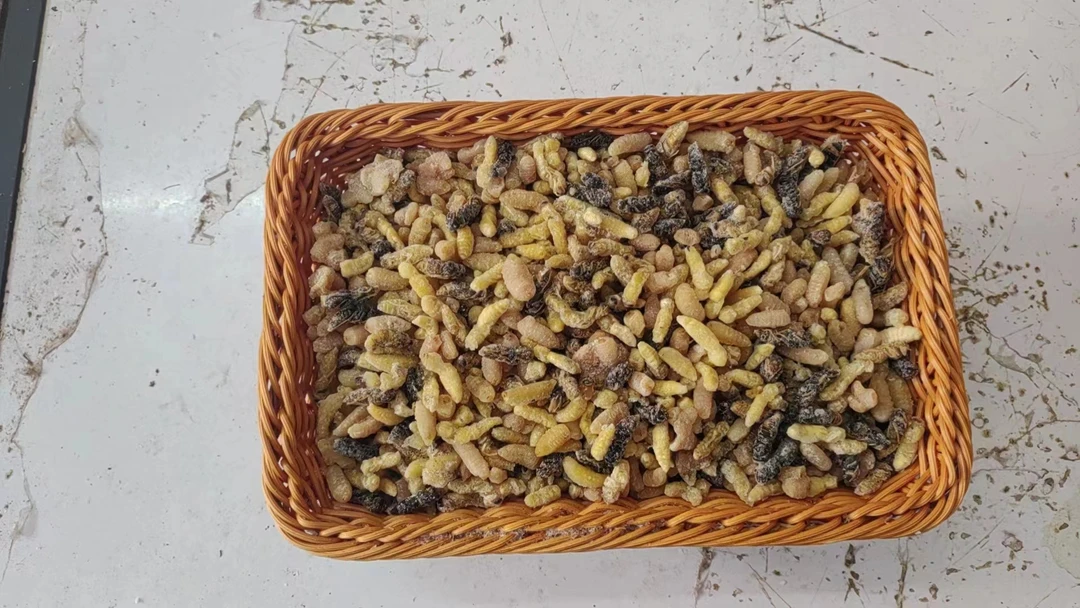 树蜂蛹1斤装包邮