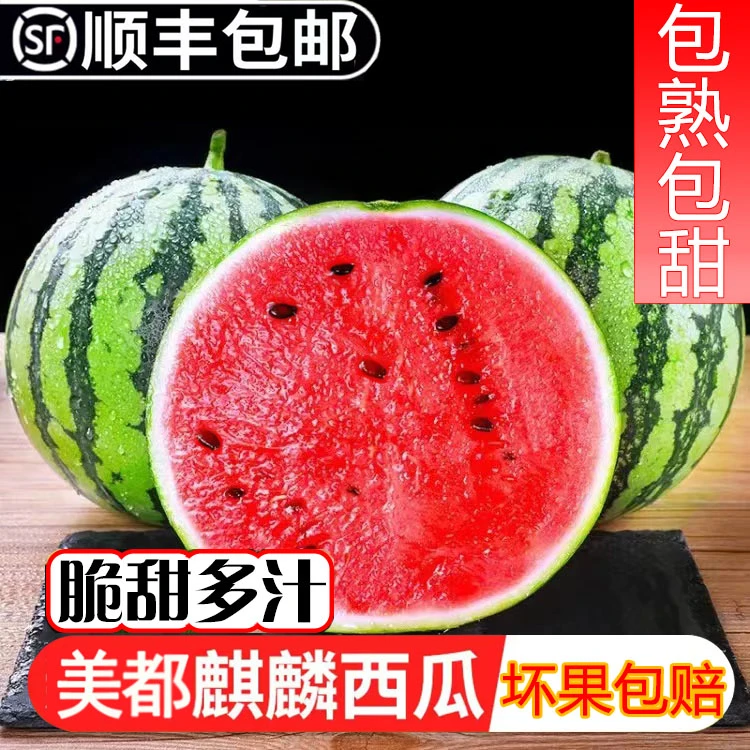 【每人抢8斤】正宗海南麒麟西瓜无籽当季水果产地直发批发整箱包邮