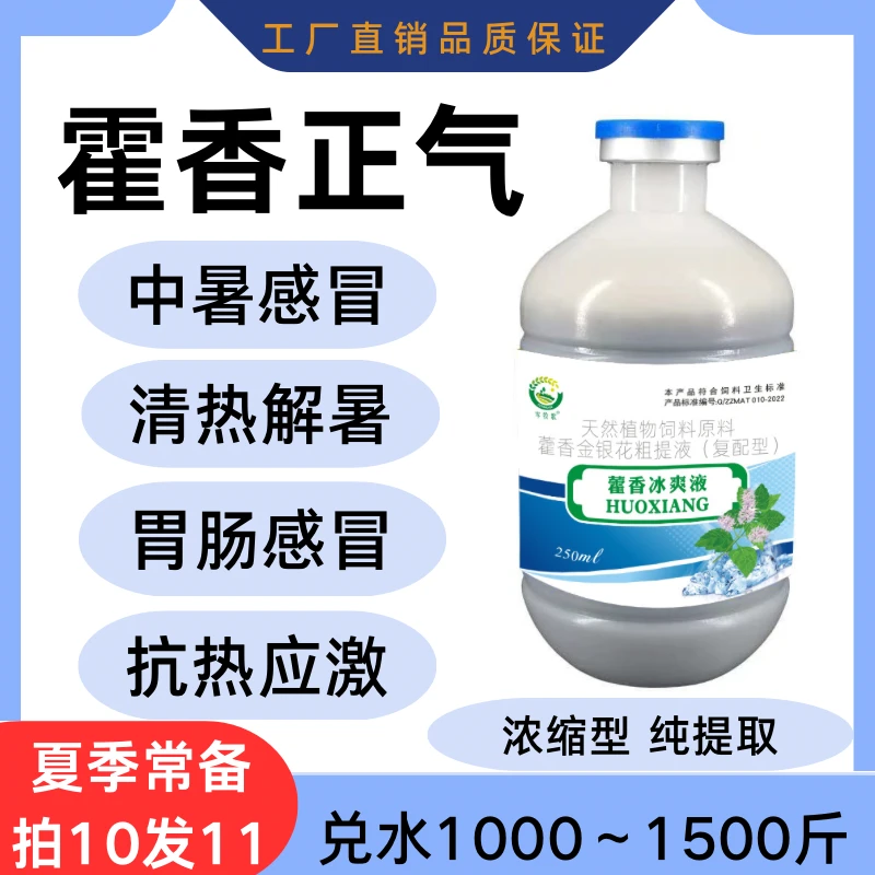 藿香正气液口服液鸡鸭鹅鸽抗应激猪牛羊兔解暑降温防中暑养殖常备