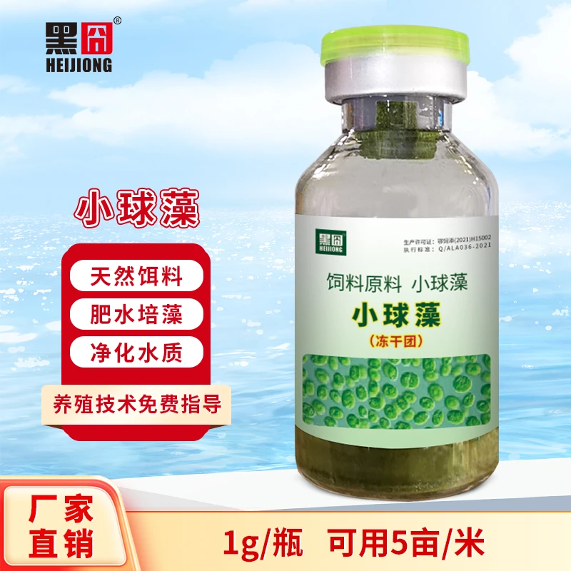 黑囧小球藻冻干团肥水培藻净化水产养殖鱼虾蟹塘天然绿色复合藻种
