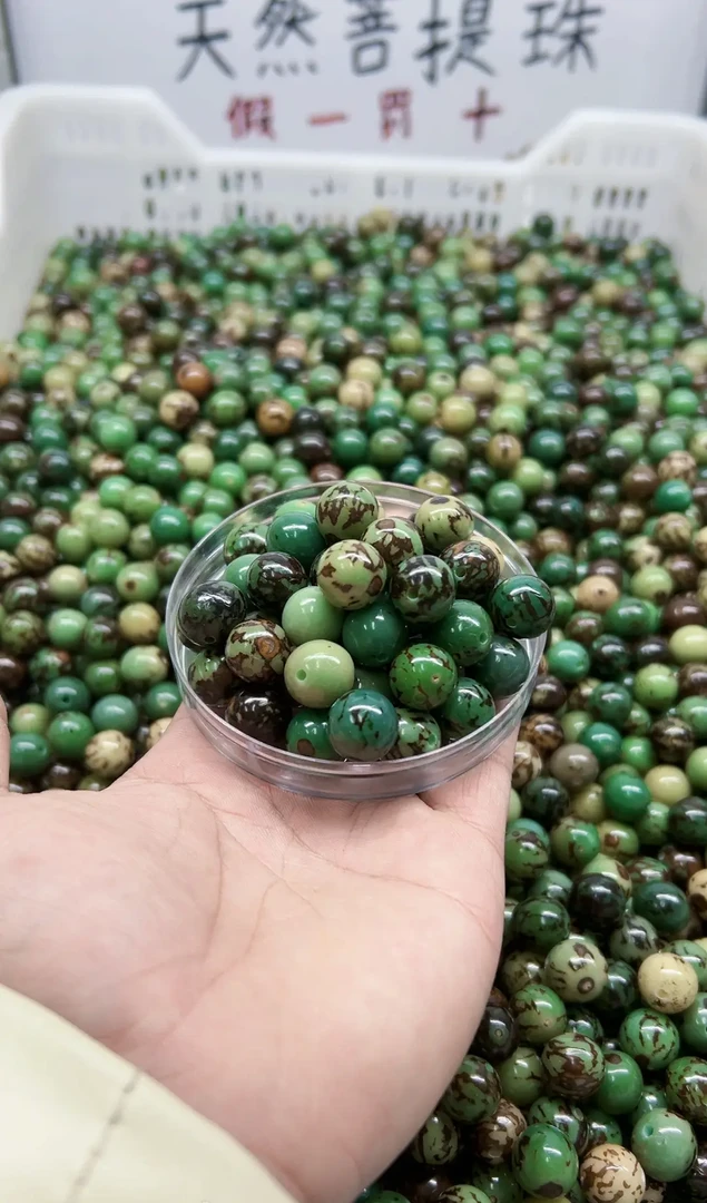 卡17毫米高亮精工无牙眼纯天然菩提散珠diy手串手持原色圆佛珠