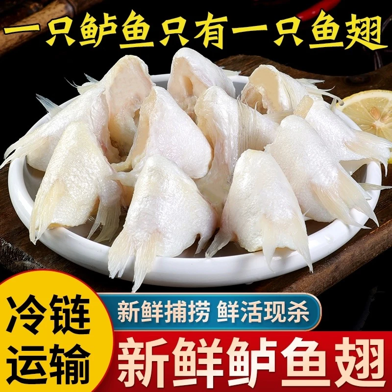 生鲜海鲈鱼翅6包 去了鱼鳞收拾干净 每包250克（共计1500克）