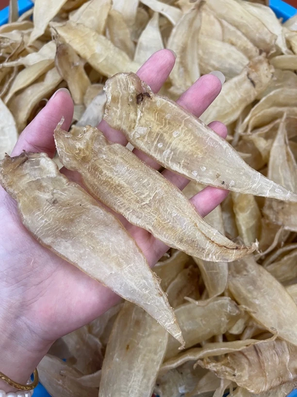 豆仁胶代拍链接～