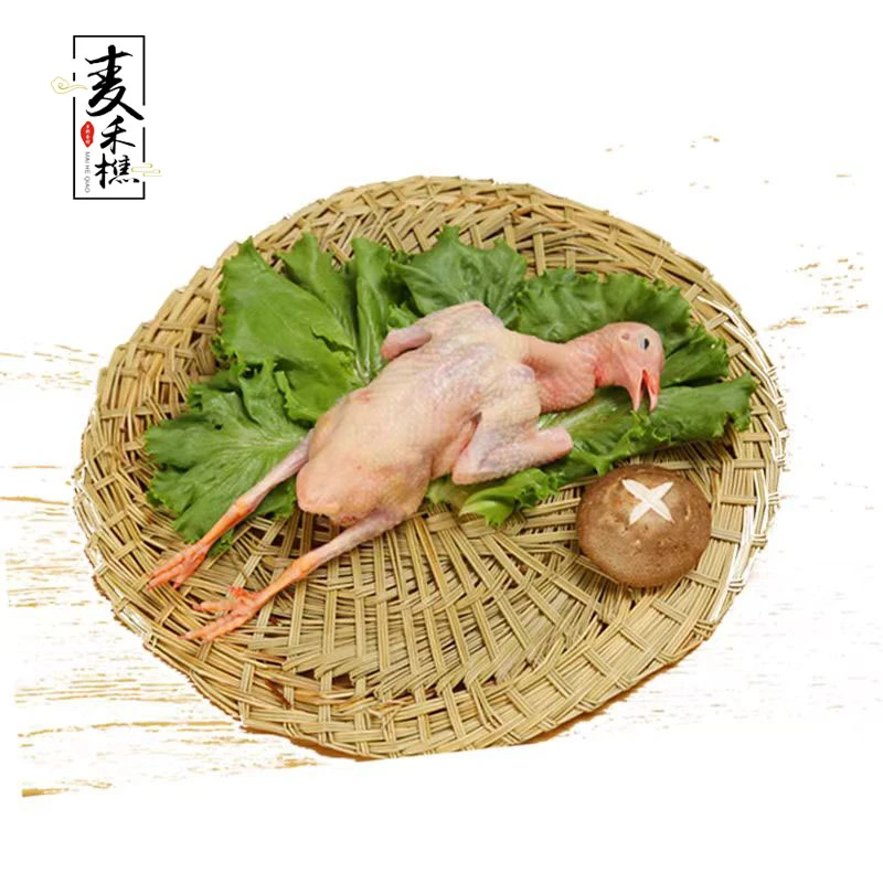 沂蒙山散养乳鸽土鸽子 单只净重300克以上