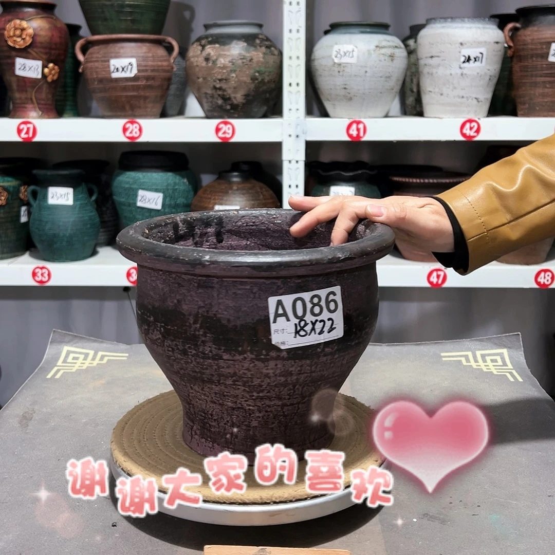 红陶20CM（含）-50CM（不含）