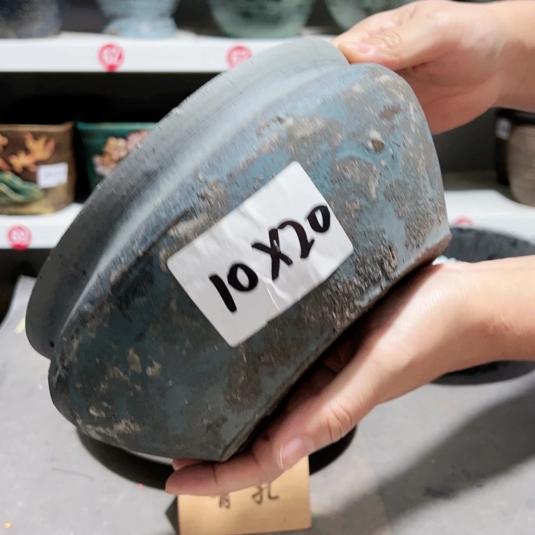 红陶20CM（含）-50CM（不含）