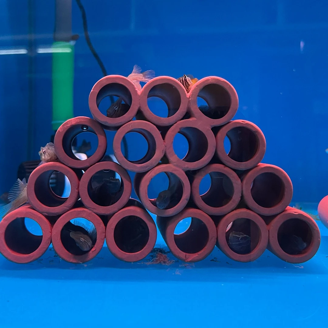 躲避窝 超实用 适用鼠鱼 孔雀 奥特曼青蛙 鳌虾类等